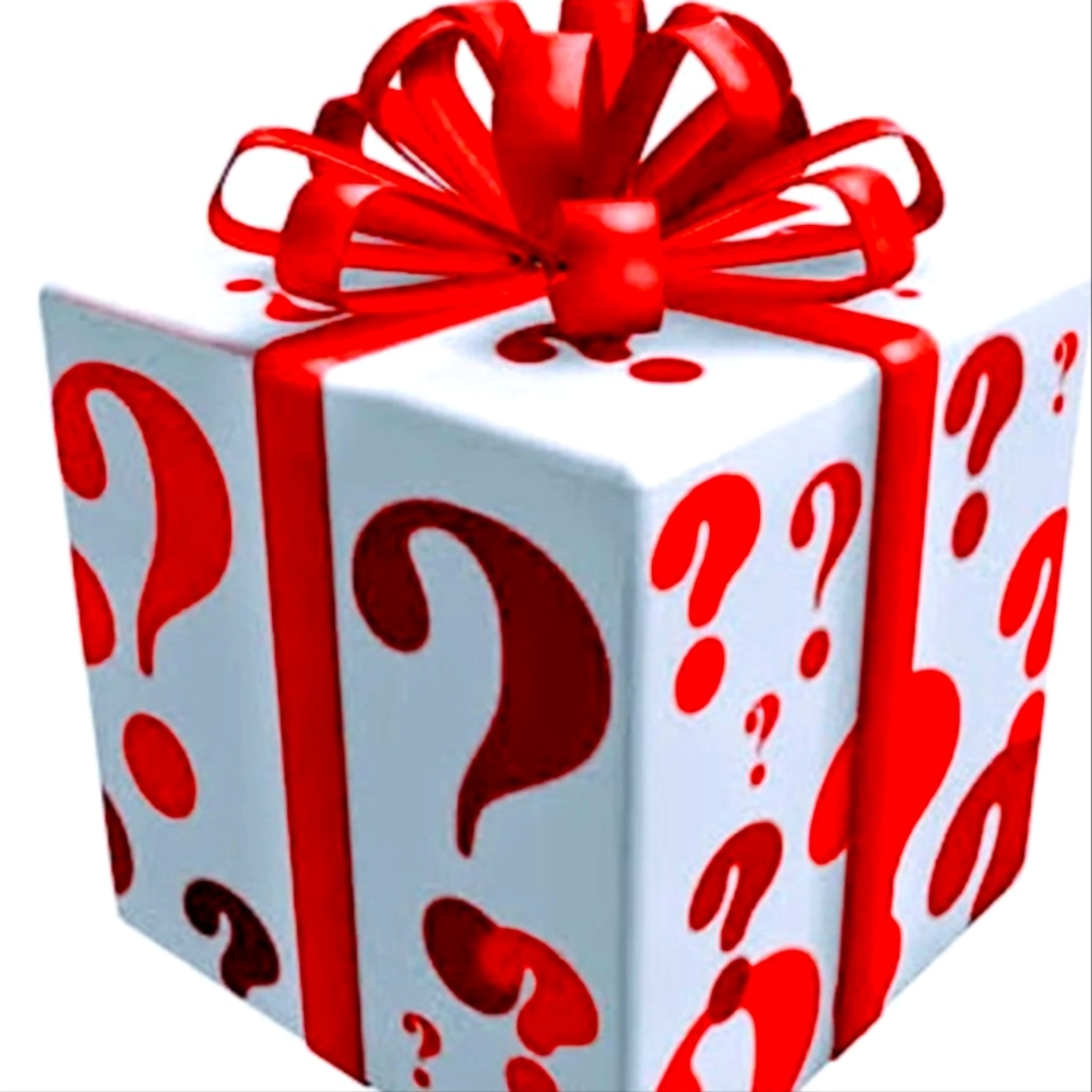 New Without Tags Men's clothing 5 lb mystery box